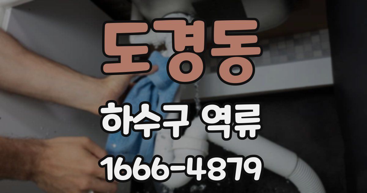 도경동 하수구 역류