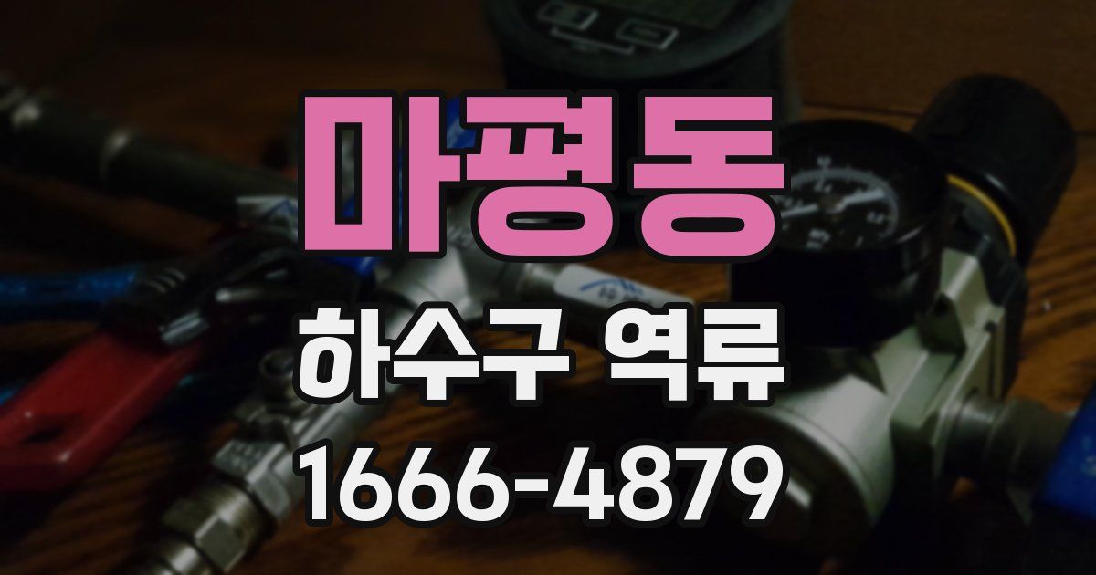 마평동 하수구 역류