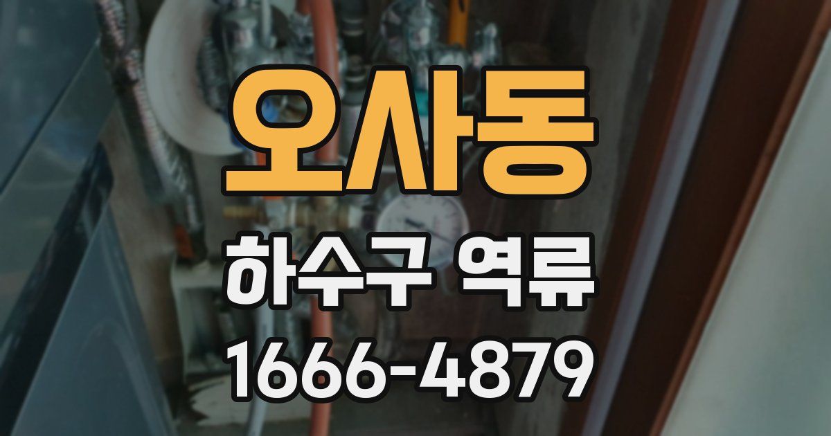 오사동 하수구 역류