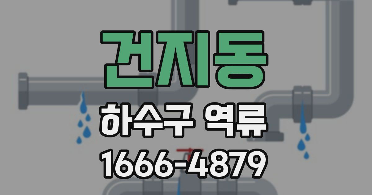 건지동 하수구 역류