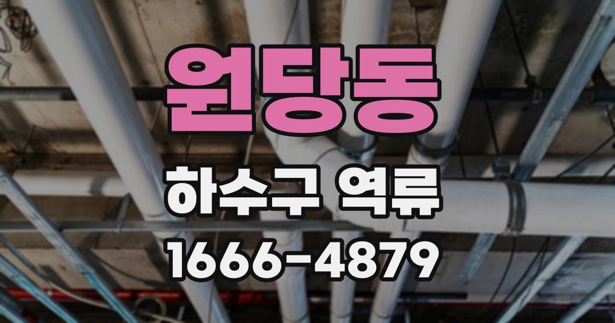 원당동 하수구 역류