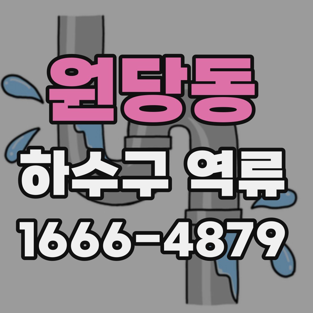 원당동 하수구 역류