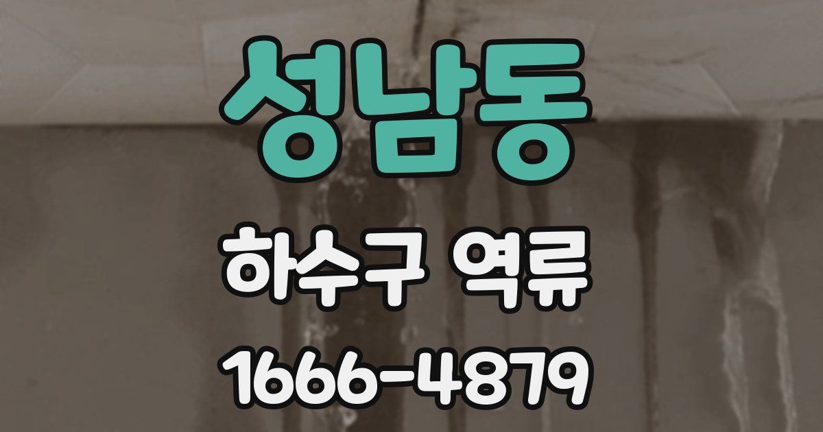 성남동 하수구 역류