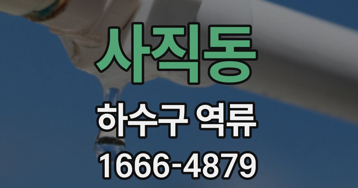 사직동 하수구 역류
