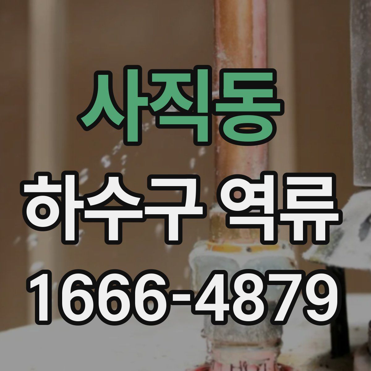 사직동 하수구 역류