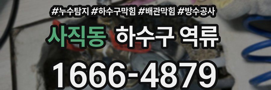 사직동 하수구 역류