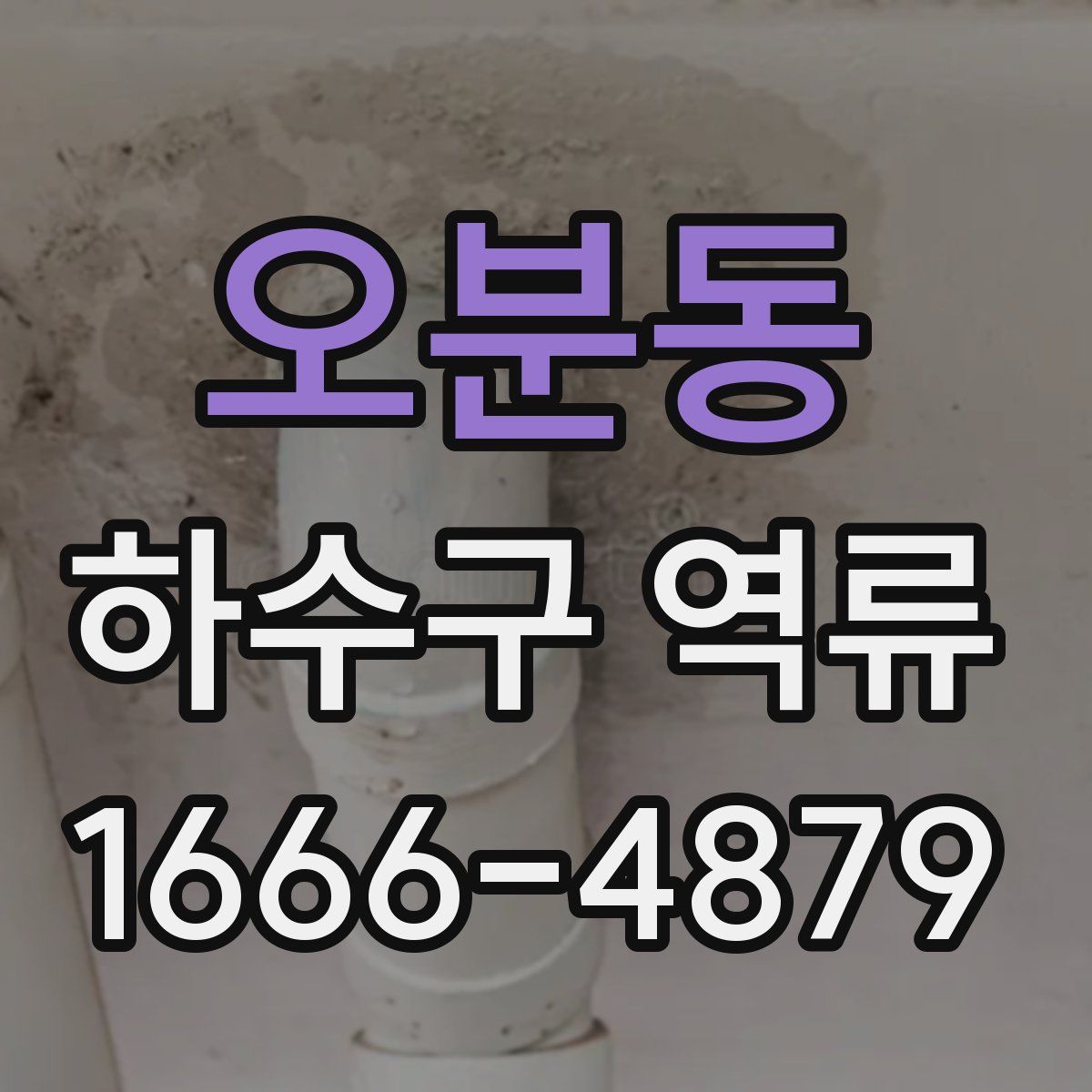 오분동 하수구 역류