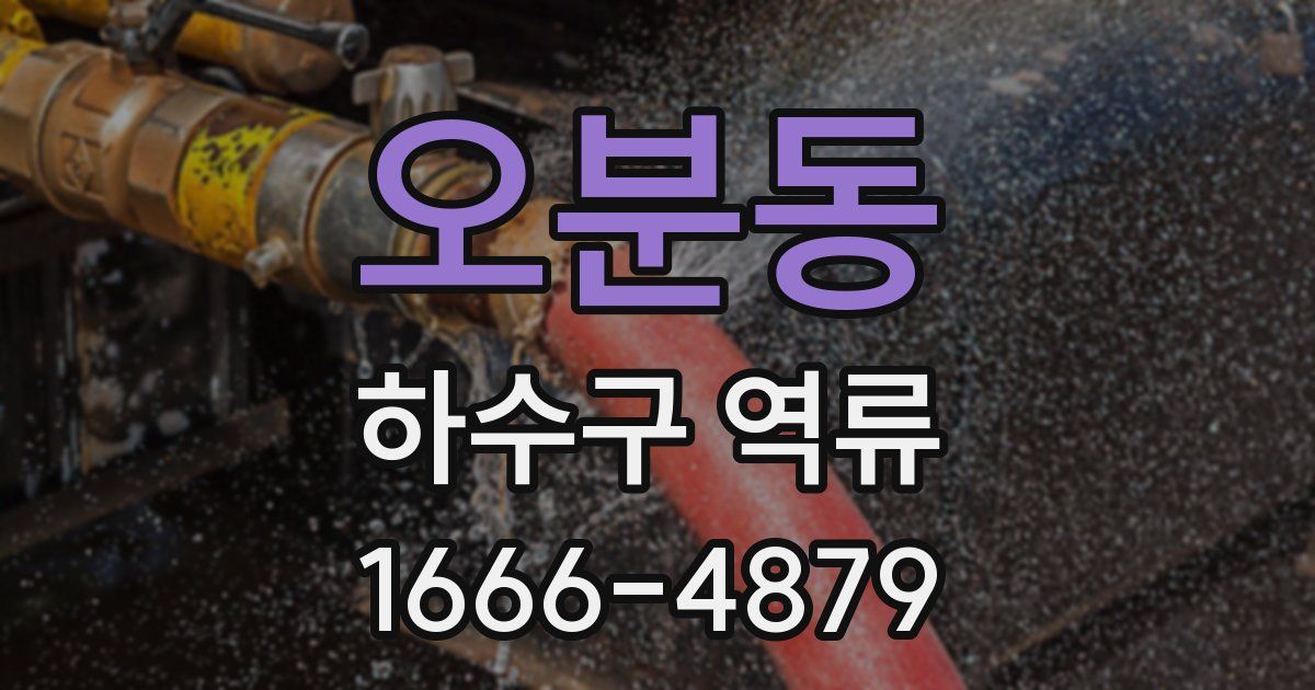 오분동 하수구 역류