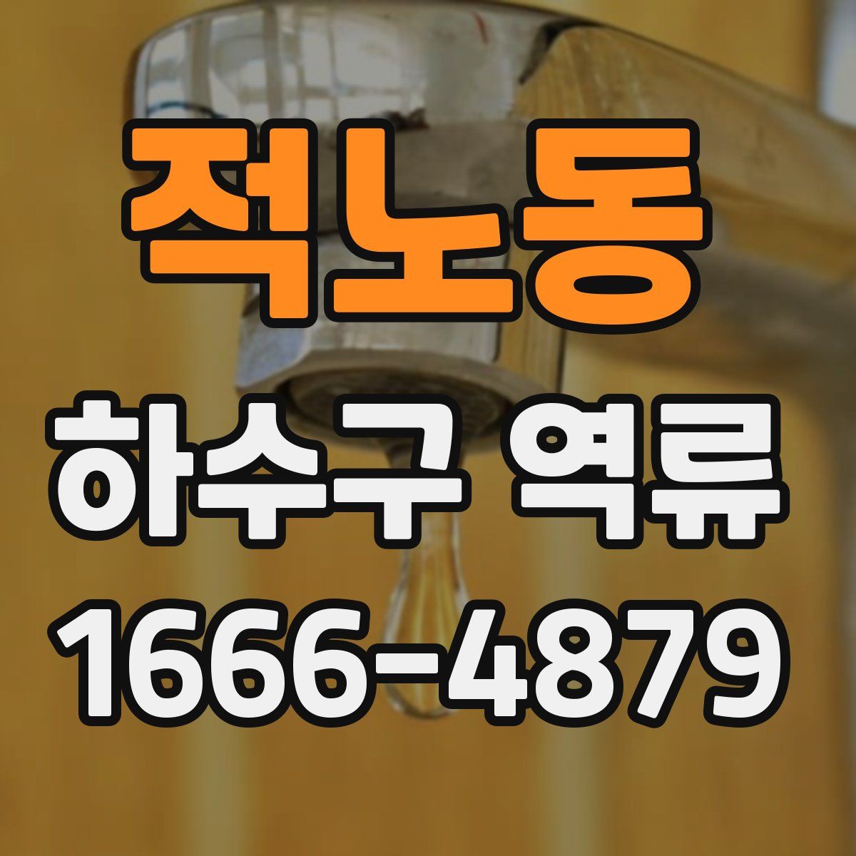 적노동 하수구 역류