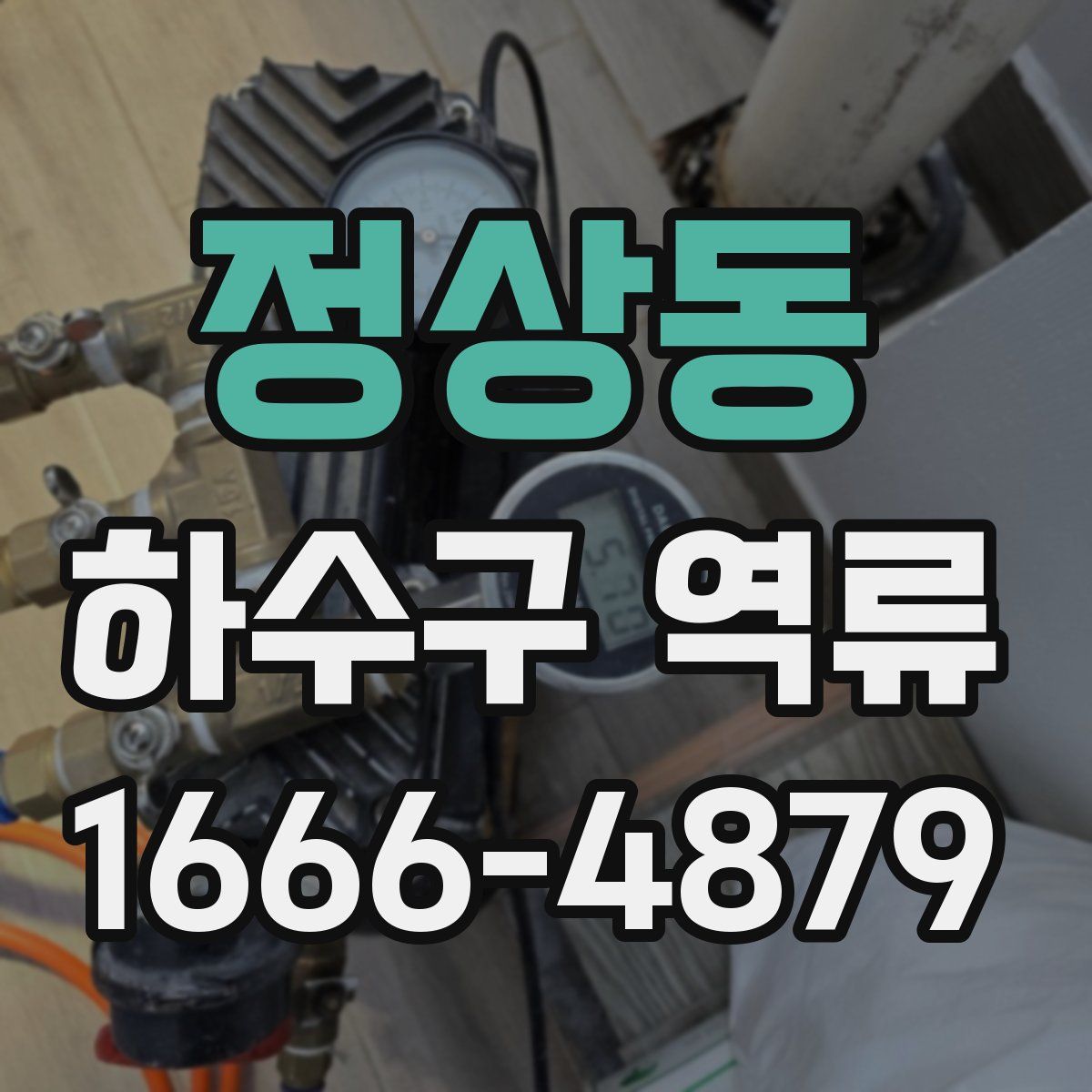 정상동 하수구 역류