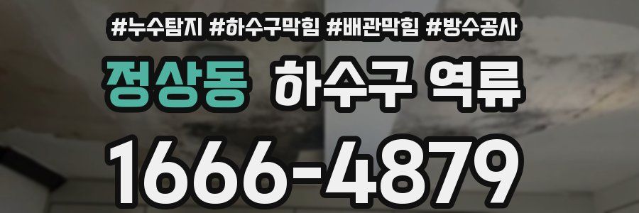 정상동 하수구 역류