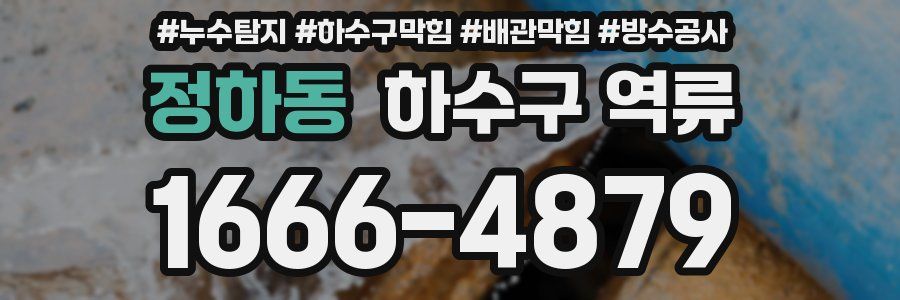정하동 하수구 역류