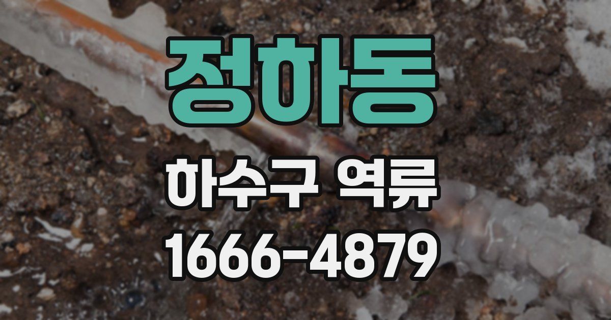 정하동 하수구 역류