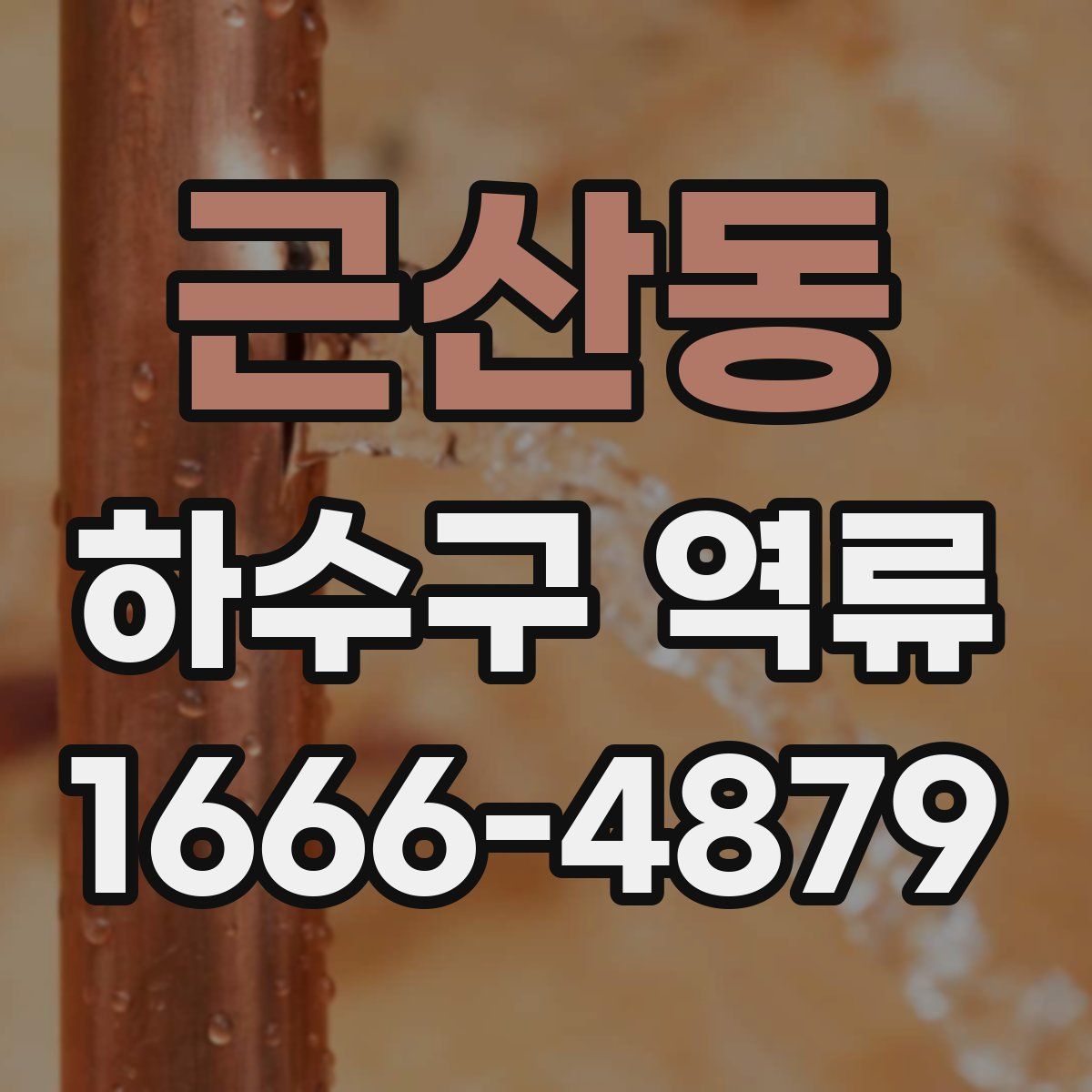 근산동 하수구 역류