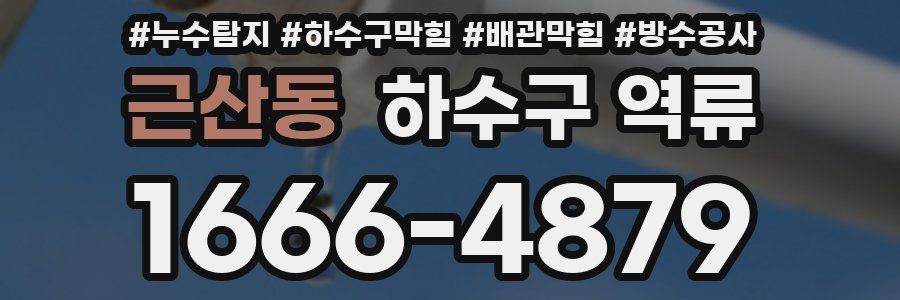 근산동 하수구 역류
