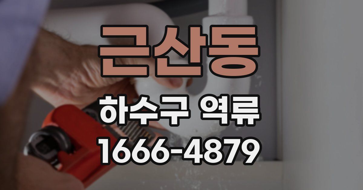 근산동 하수구 역류
