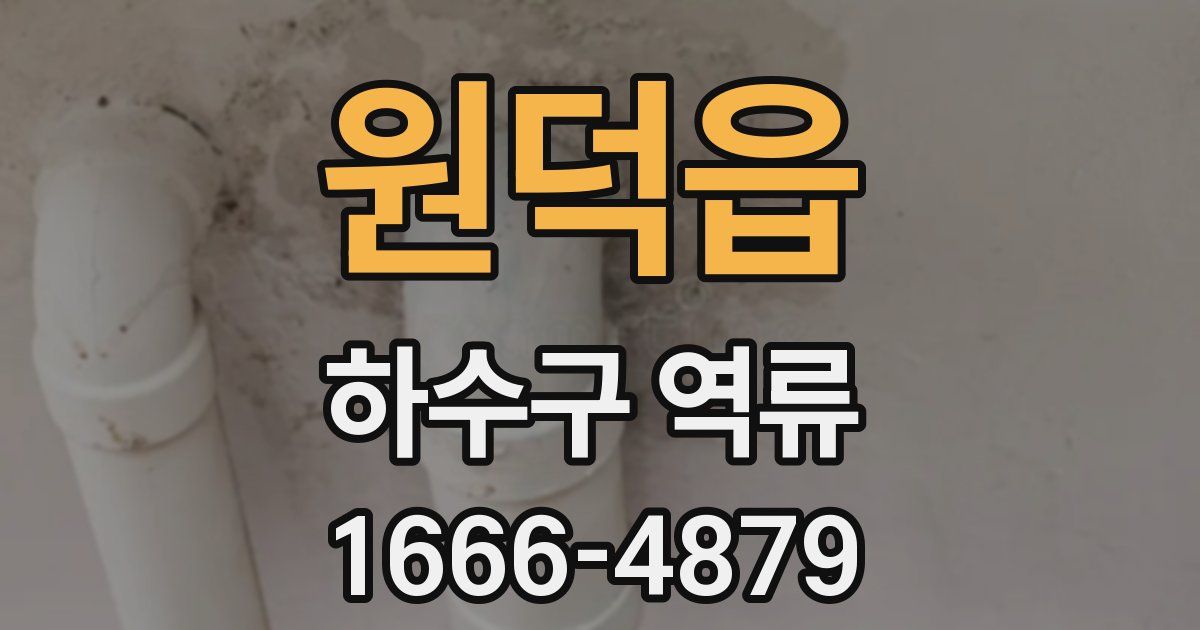 원덕읍 하수구 역류