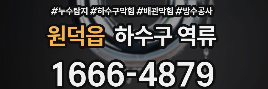 원덕읍 하수구 역류