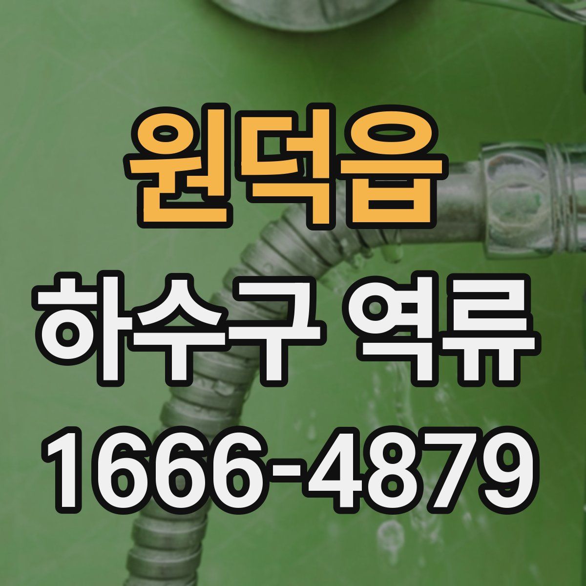 원덕읍 하수구 역류