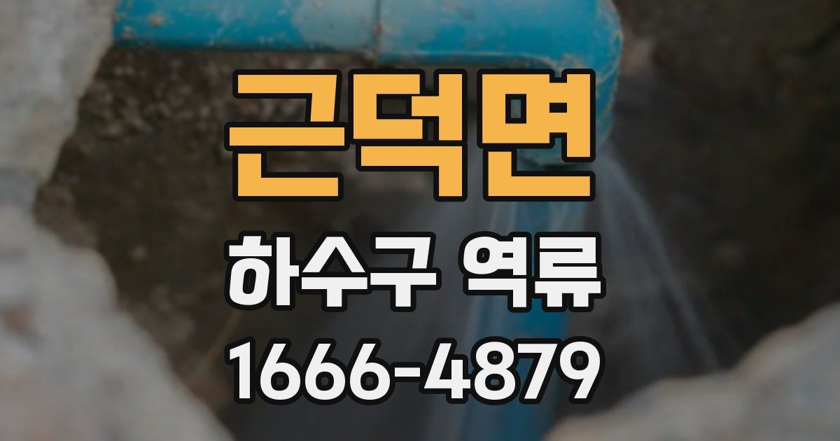 근덕면 하수구 역류