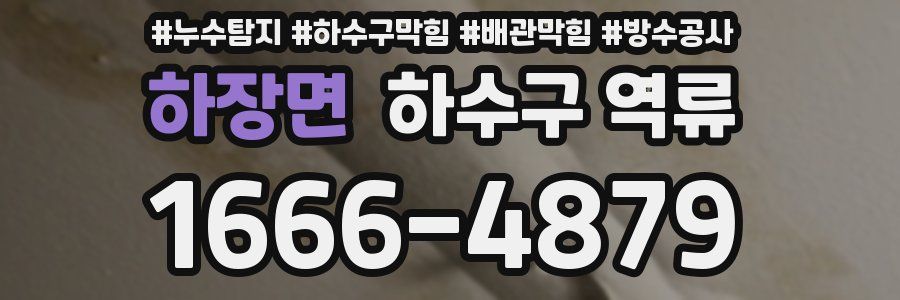 하장면 하수구 역류
