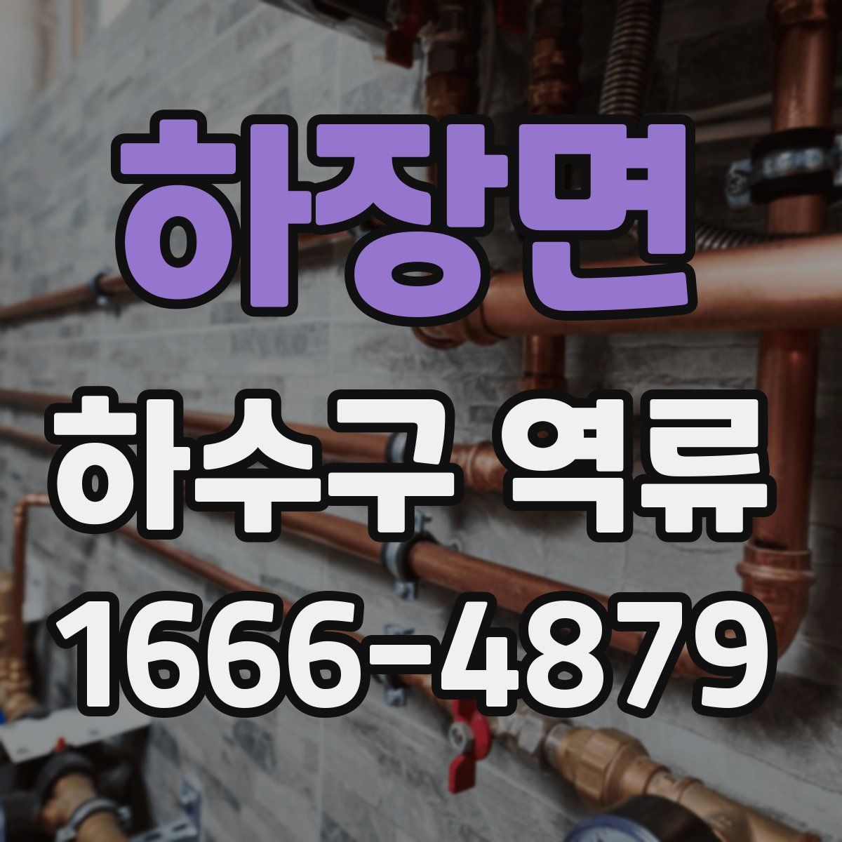하장면 하수구 역류