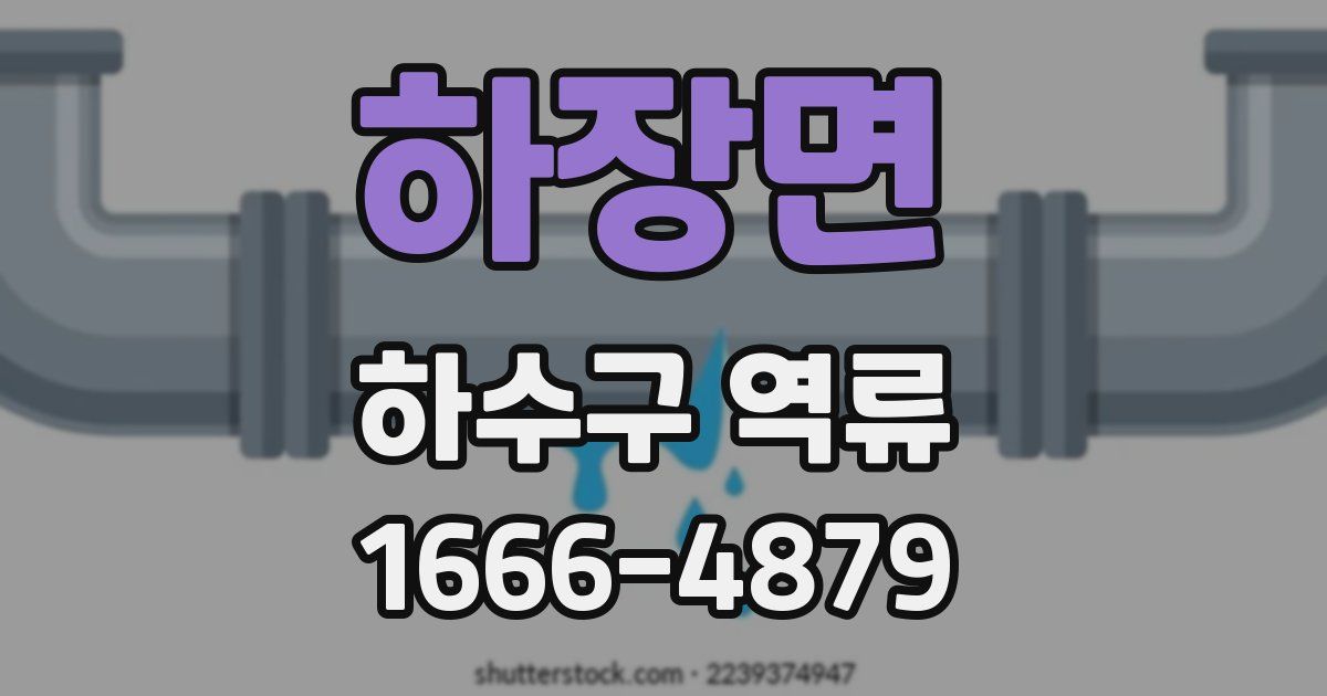 하장면 하수구 역류