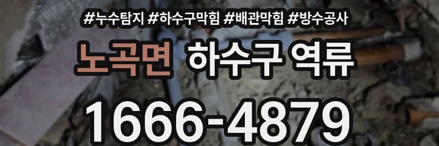 노곡면 하수구 역류