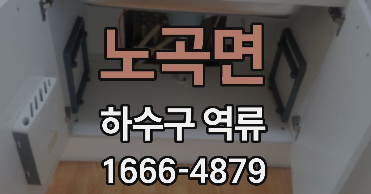 노곡면 하수구 역류