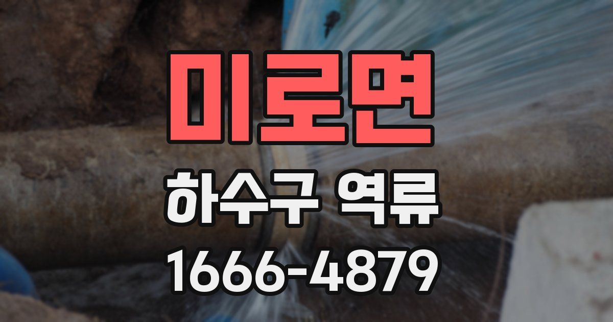 미로면 하수구 역류