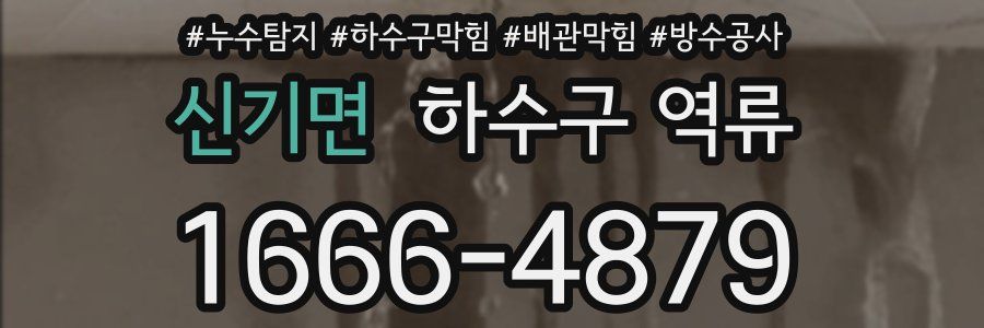 신기면 하수구 역류