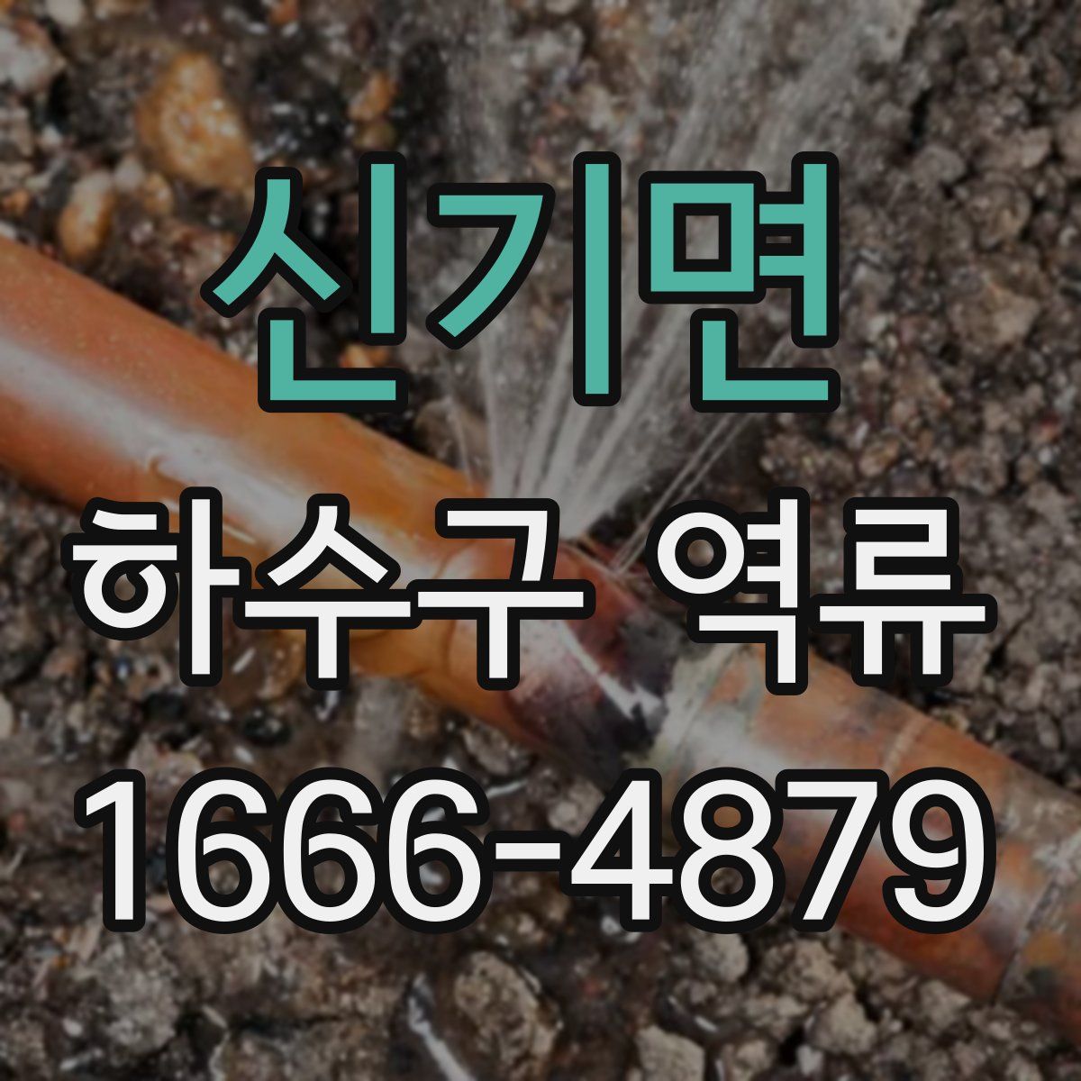 신기면 하수구 역류