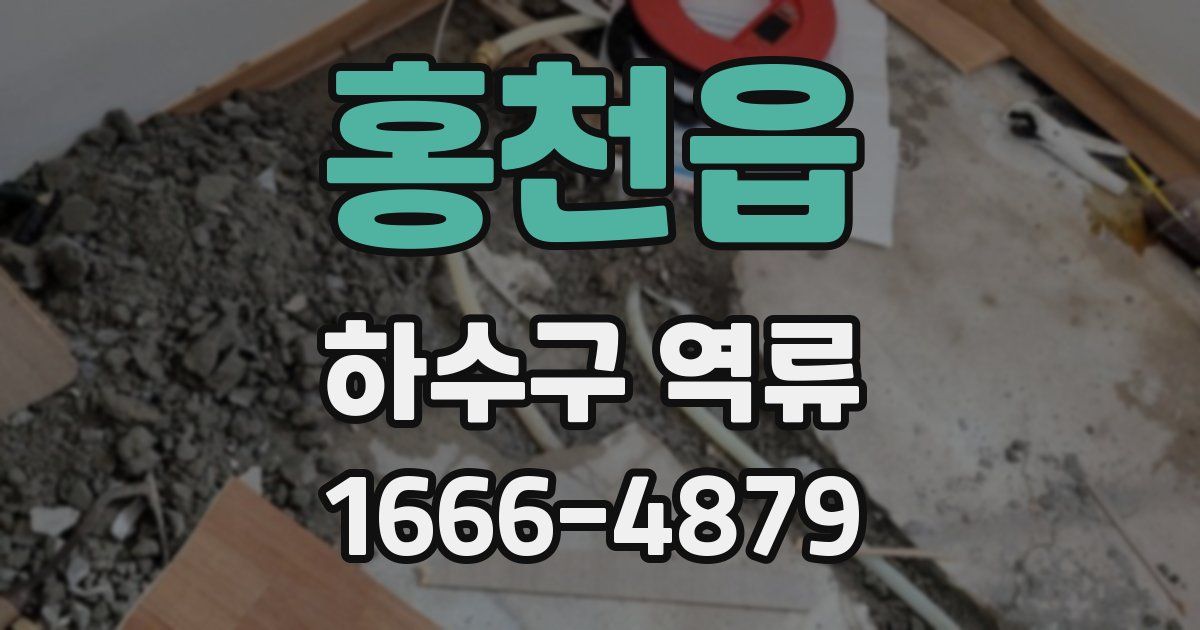 홍천읍 하수구 역류