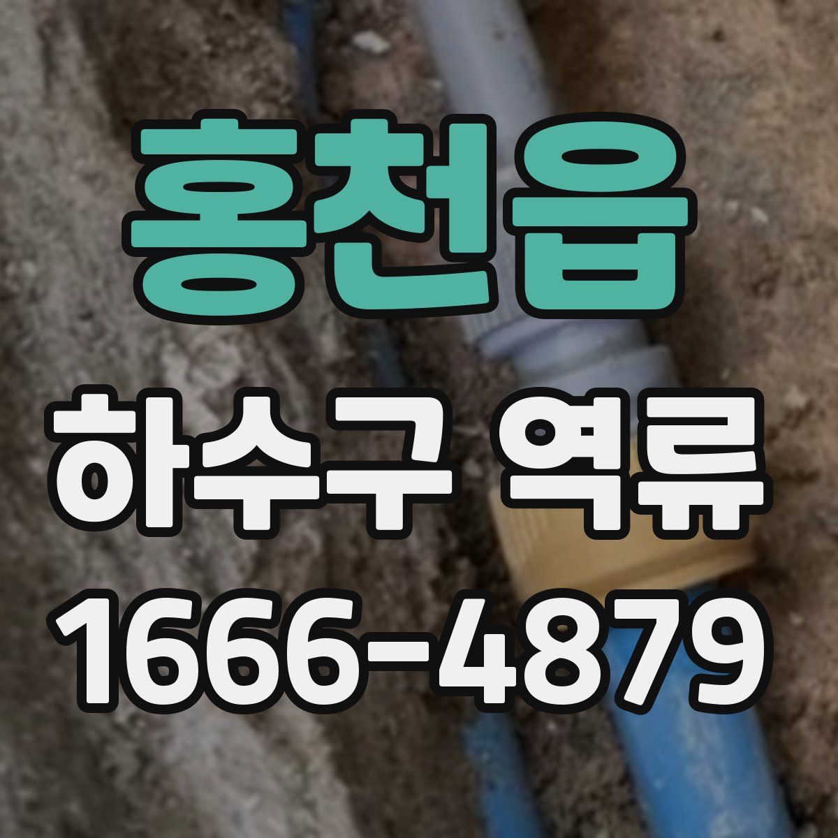 홍천읍 하수구 역류