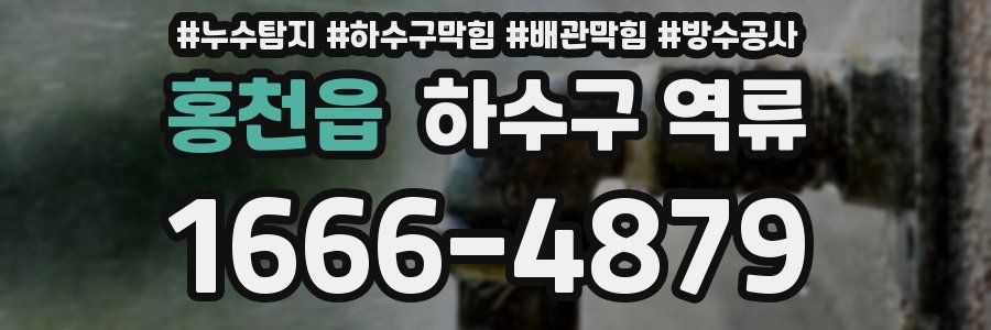홍천읍 하수구 역류