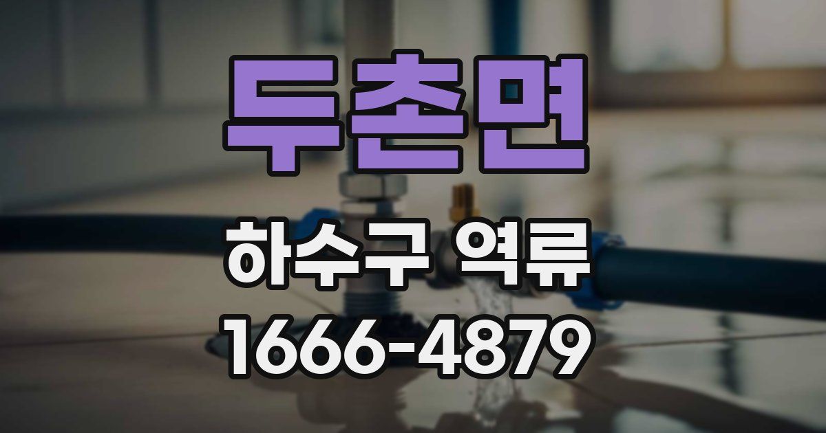 두촌면 하수구 역류