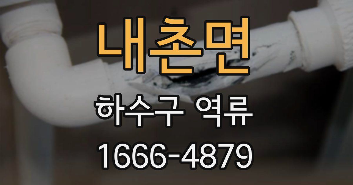 내촌면 하수구 역류