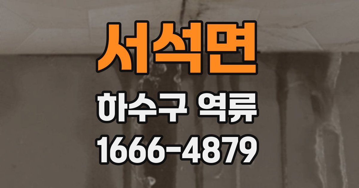 서석면 하수구 역류