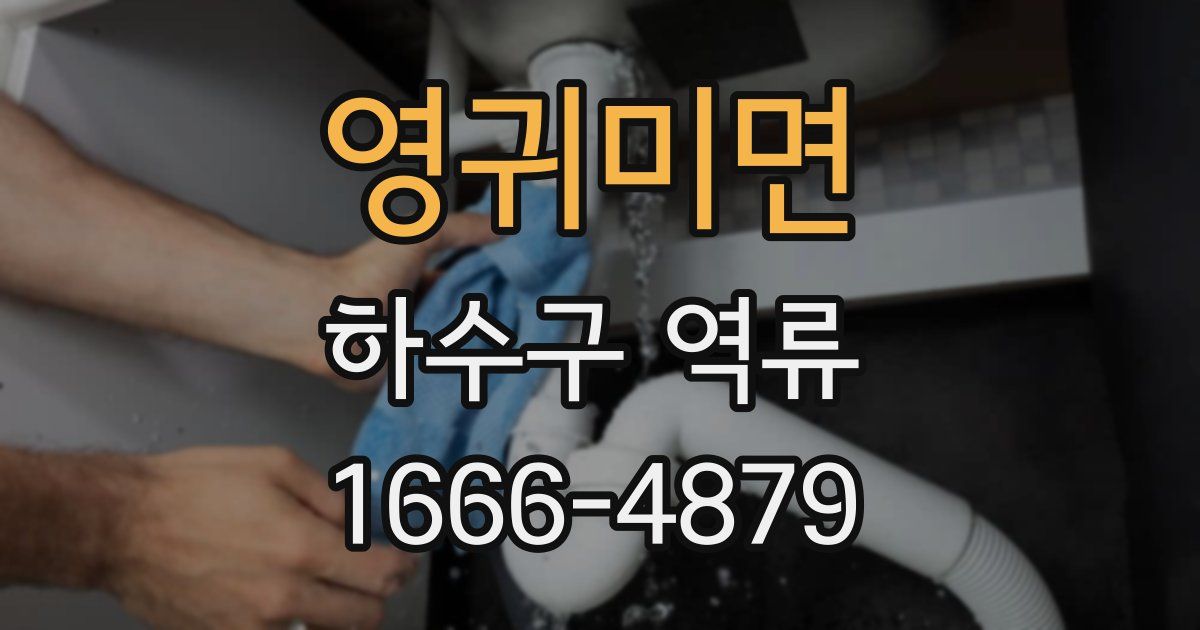 영귀미면 하수구 역류