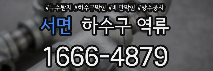 서면 하수구 역류