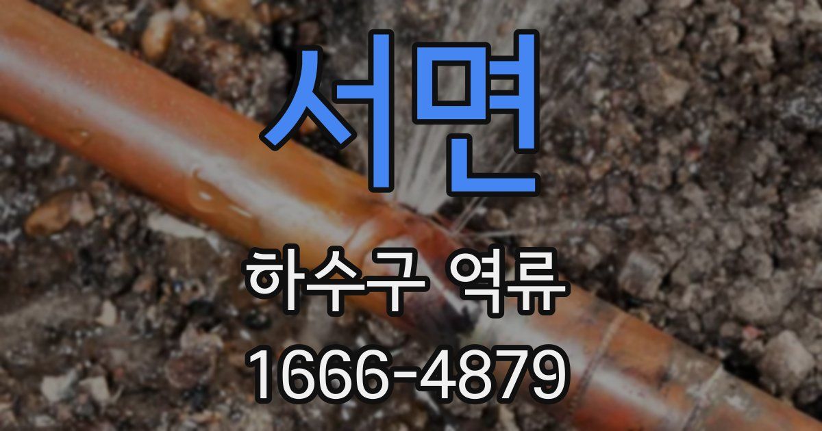 서면 하수구 역류