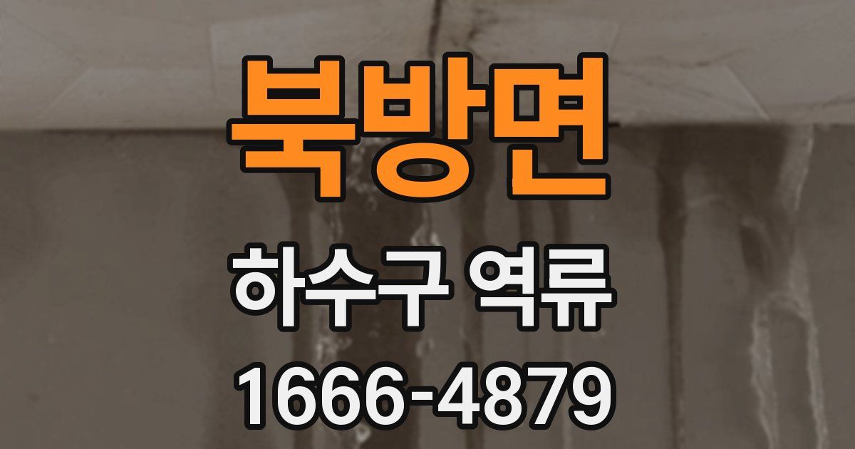 북방면 하수구 역류