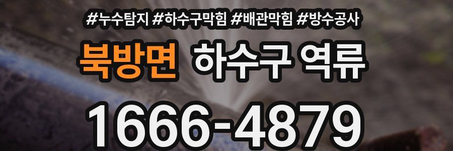 북방면 하수구 역류