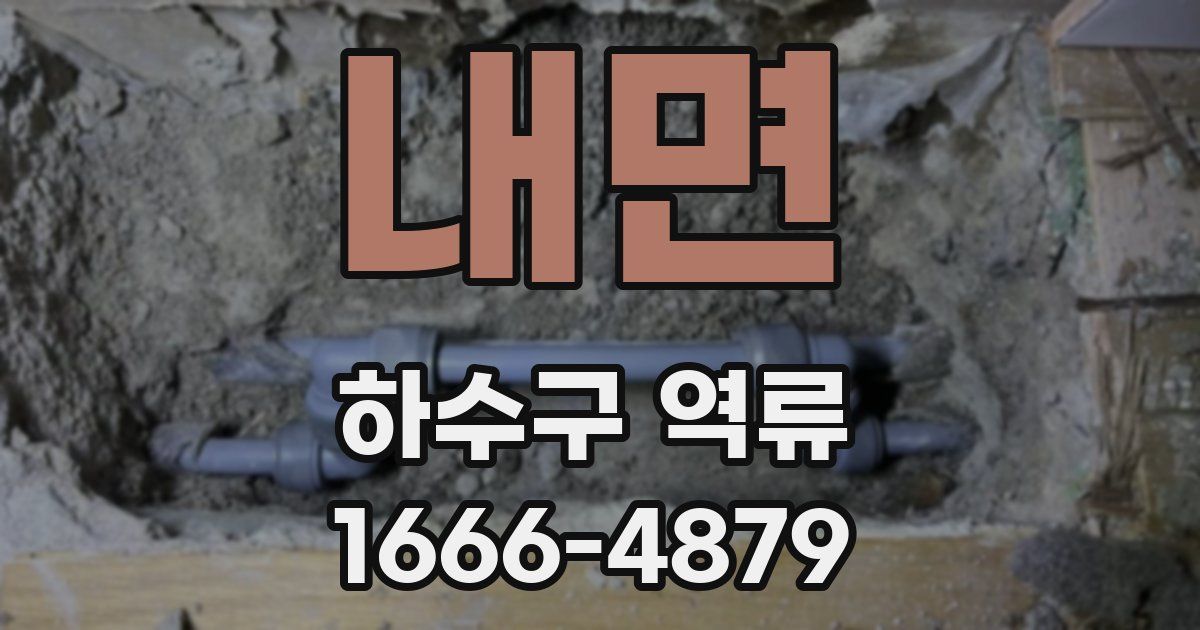 내면 하수구 역류