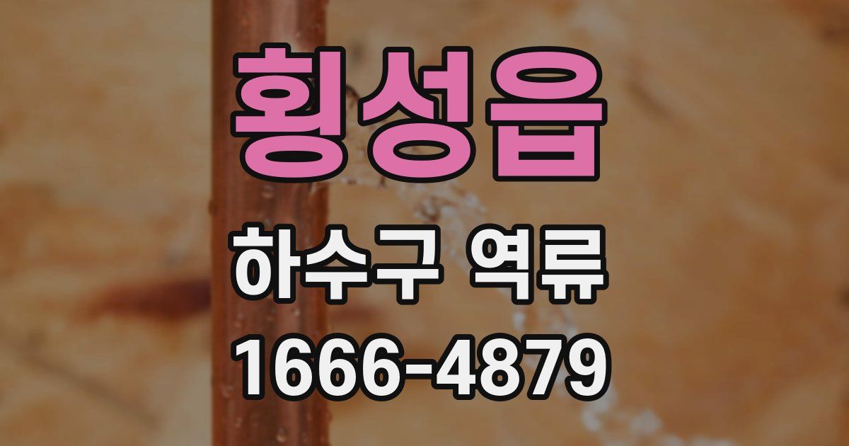 횡성읍 하수구 역류
