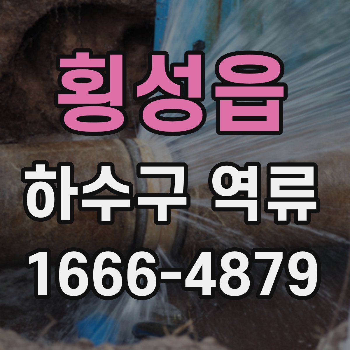 횡성읍 하수구 역류