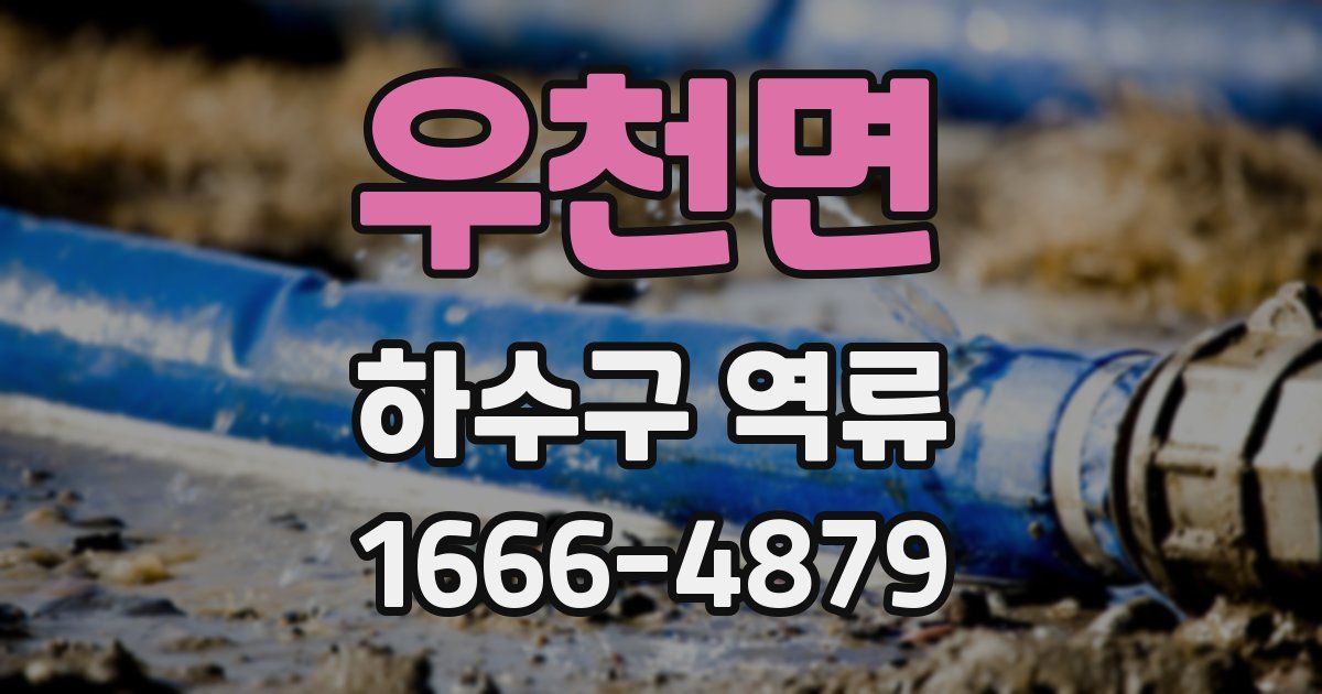 우천면 하수구 역류