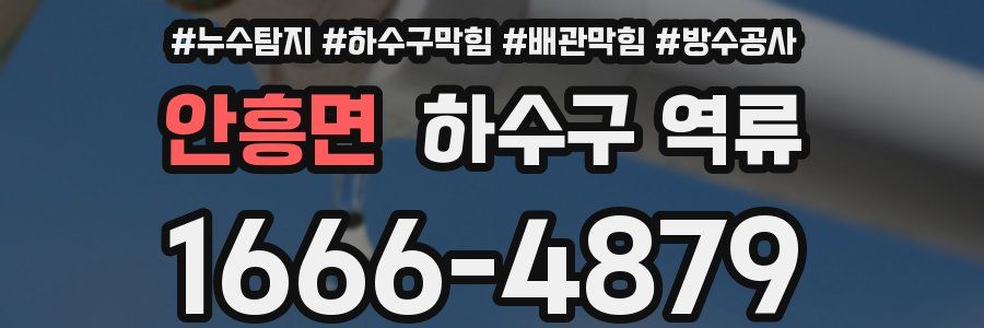 안흥면 하수구 역류