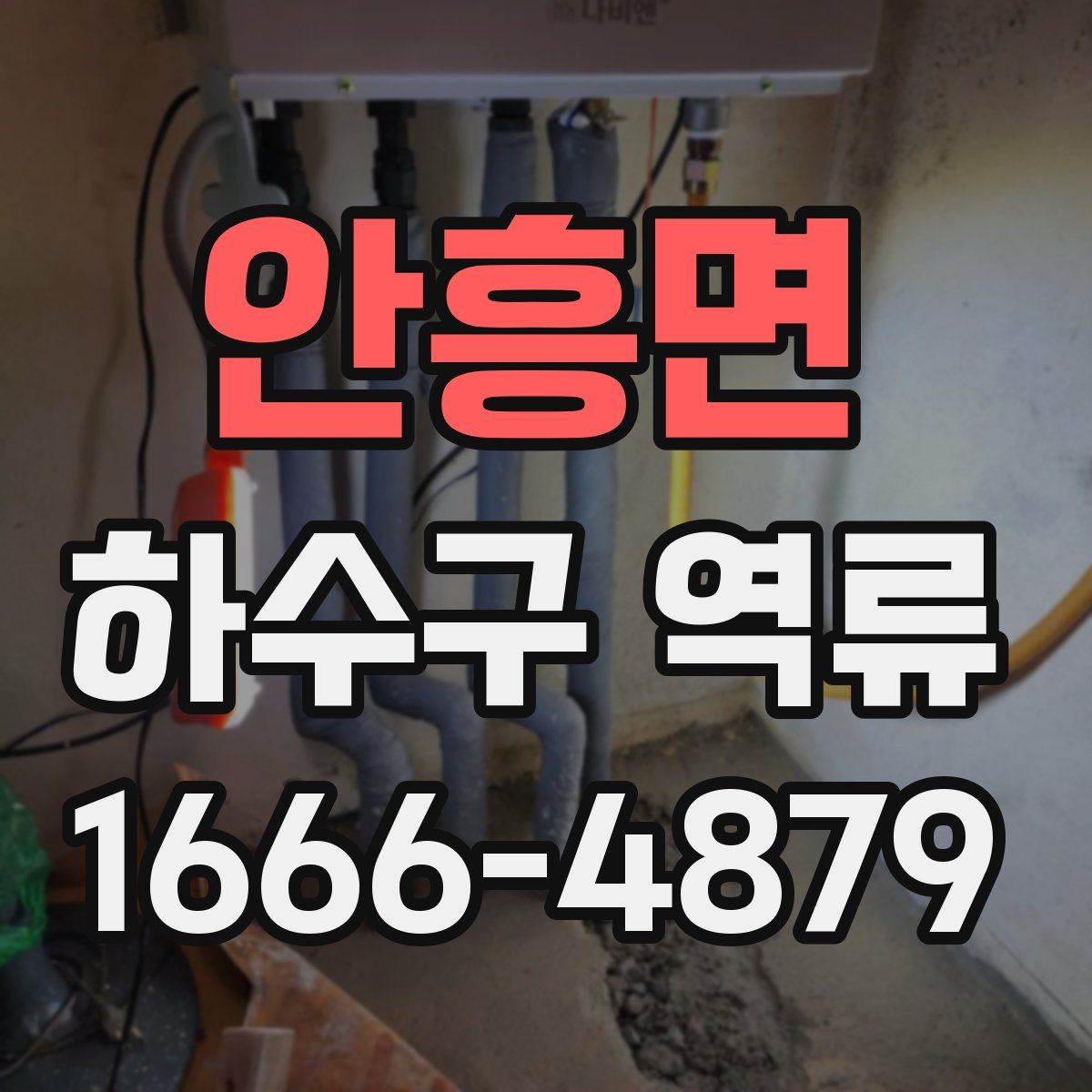 안흥면 하수구 역류