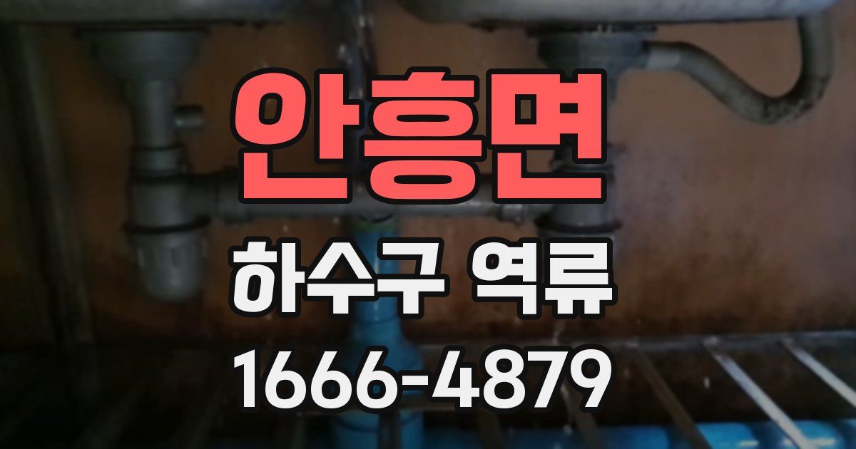 안흥면 하수구 역류